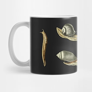 Slugs & Snails Vintage Illustration Mug